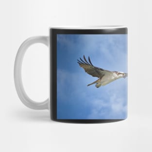 Osprey on the Hunt Mug